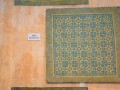 Tn dsc 4451